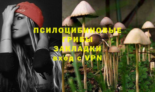 гидропоника Алексеевка